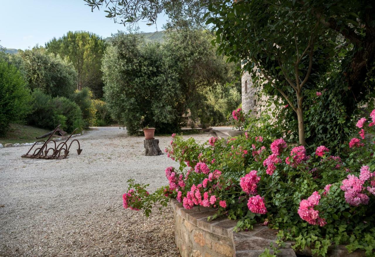 Agriturismo Il Giardino Dei Ciliegi Passaggio di Assisi Eksteriør bilde